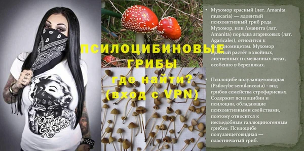 гашик Михайловка