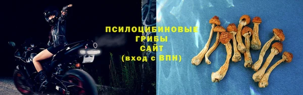 гашик Михайловка