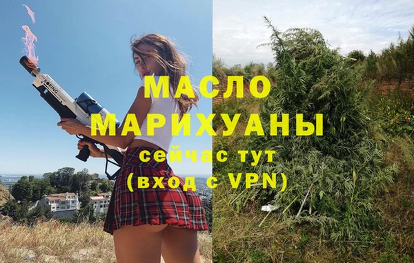 гашик Михайловка