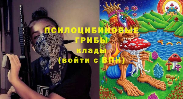 гашик Михайловка
