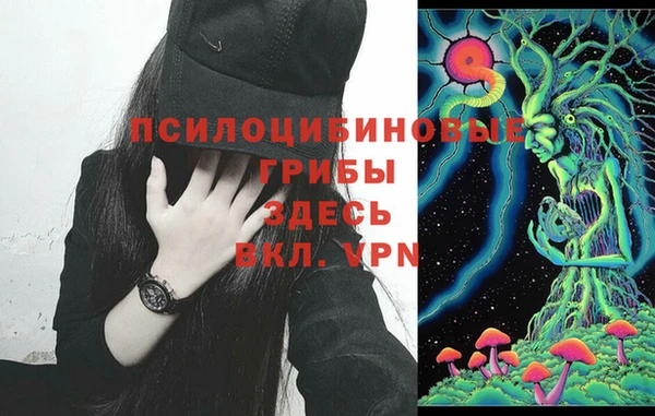 прущая мука Михайлов