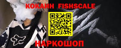 гашик Гусев