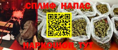 гашик Гусев