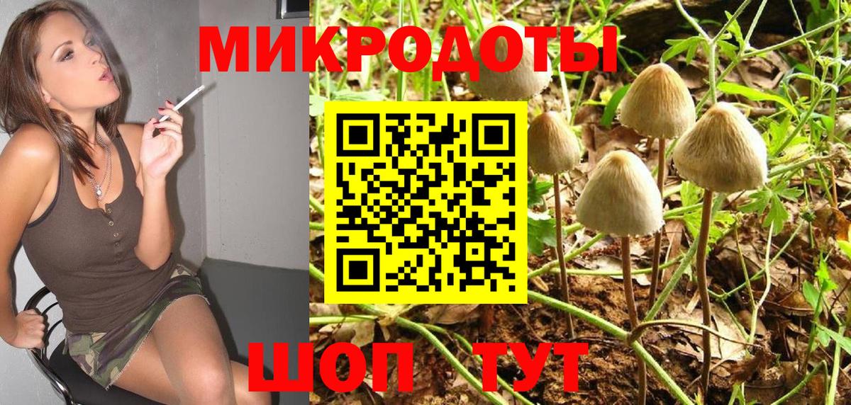 Галлюциногенные грибы Magic Shrooms  Галлюциногенные грибы Psilocybine cubensis  Вход с VPN  наркотики  Черногорск 