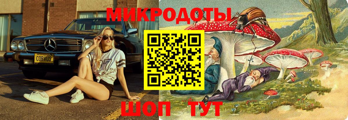 Галлюциногенные грибы ЛСД Черногорск