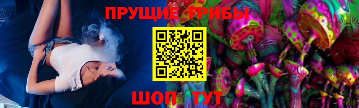 Галлюциногенные грибы MAGIC MUSHROOMS Черногорск